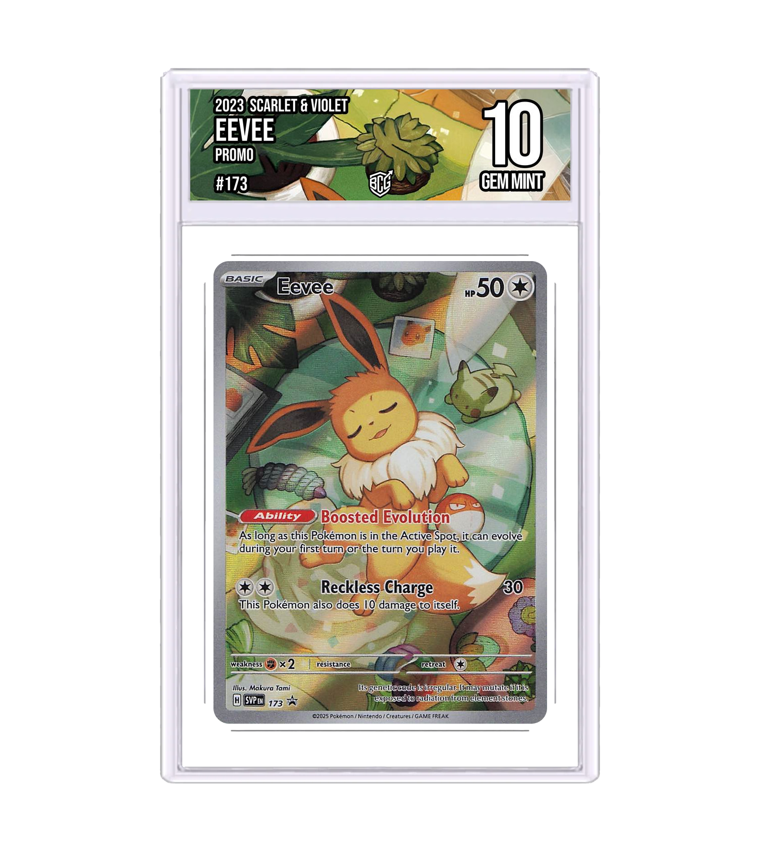Front of the Eevee slab