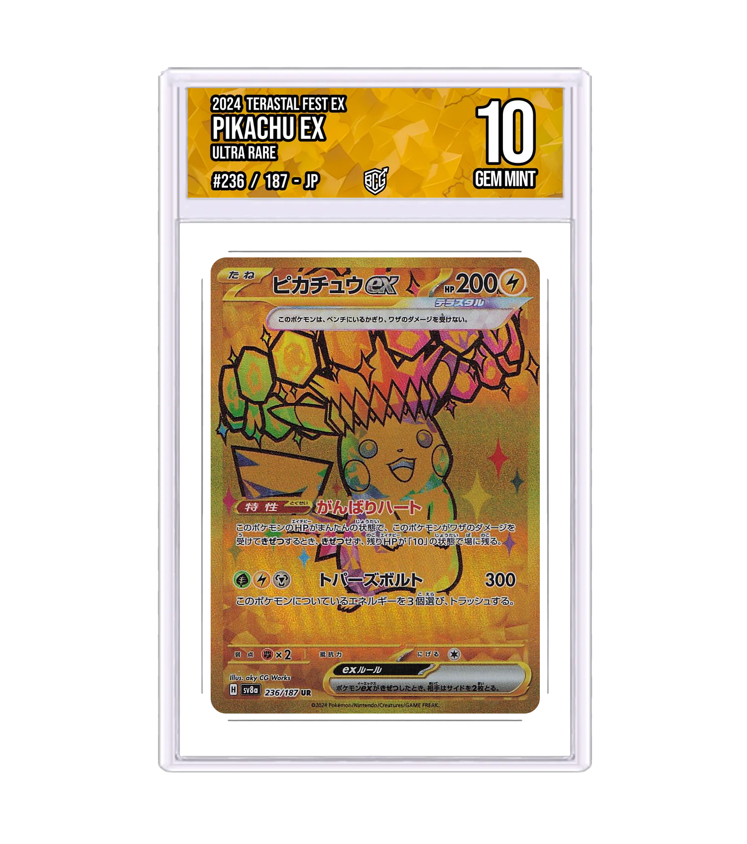 Front of the Pikachu ex slab